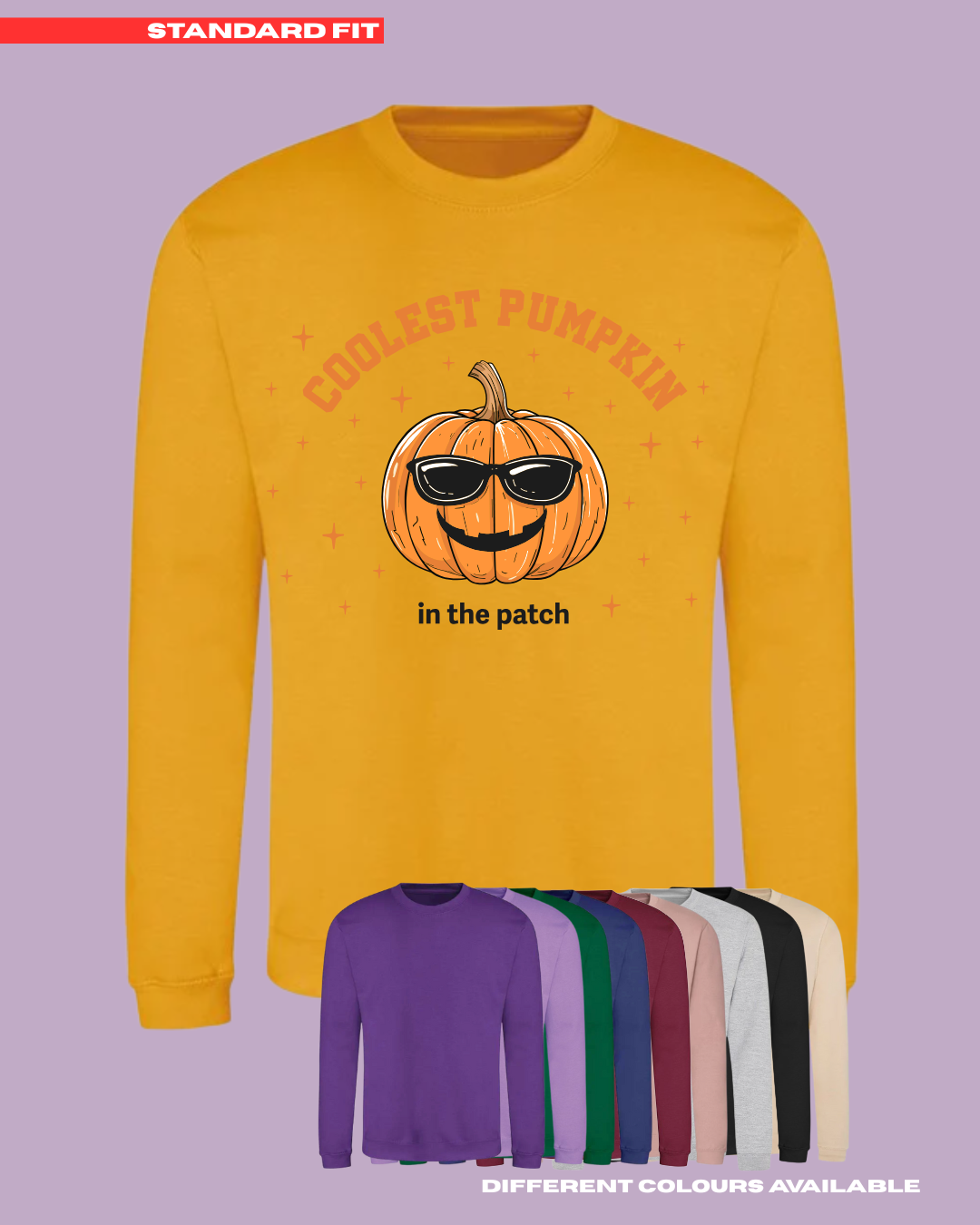ADULTS Coolest Pumpkin In The Patch Jumper - STANDARD FIT
