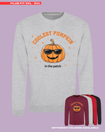 Load image into Gallery viewer, ADULTS Coolest Pumpkin In The Patch Jumper - PLUS FIT
