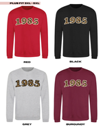 Load image into Gallery viewer, ADULTS Custom Birth Year Jumper - PLUS FIT
