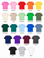 Load image into Gallery viewer, Take Me Where The Magic Happens - Adults Standard Fit TShirt
