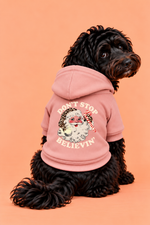 Load image into Gallery viewer, Don't Stop Believin' Personalised Christmas Dog Hoodie
